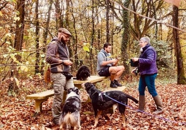 Bouton pour aller sur le service balade sociale