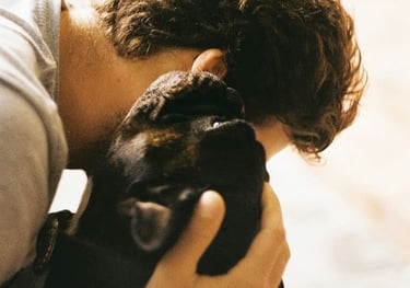 Bouton pour aller sur le service comportement canin