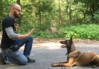 Bouton pour aller sur le service éducation canine