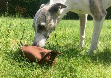 Bouton pour aller sur le service Nosework