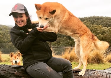 a woman in a black jacket and a dingo 