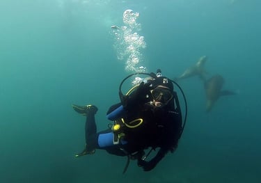 a person in a scuba suit is holding a scuba suit