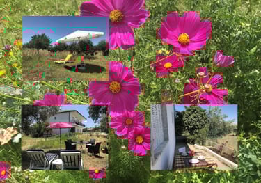 foto zitjes Landgoed Vivenda Marques