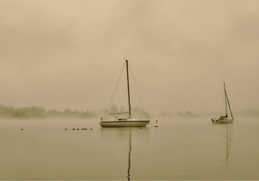 recursos de amparo ante el Tribunal Constitucional