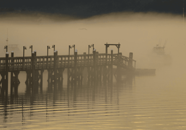  recursos de casación ante el Tribunal Supremo