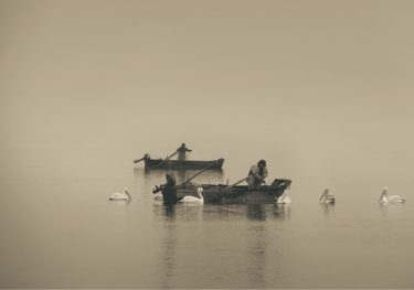 demandas al Tribunal Europeo de Derechos Humanos (TEDH)