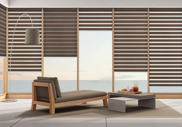 fancy curtains and blinds