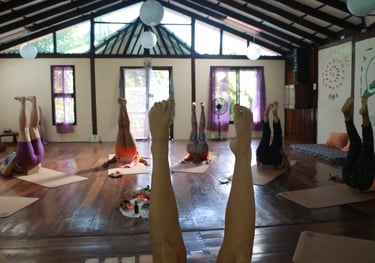 a group of people doing yoga exercises in a room