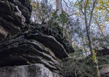 Terapia online Dolors Reig