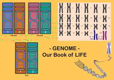 Genome