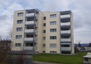 Fassadensanierung Gretzenbach