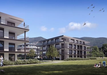 MFH Niederhof Gunzgen