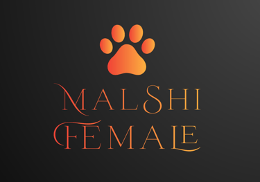 Perfect Paw Pups Logo