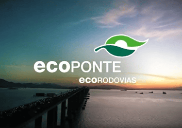 ponte rio niteroi - a bridge over a body of water with a green leaf