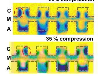 Water management fuel cell compression