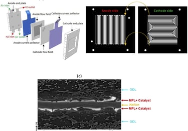 Compression on water management fuel cells