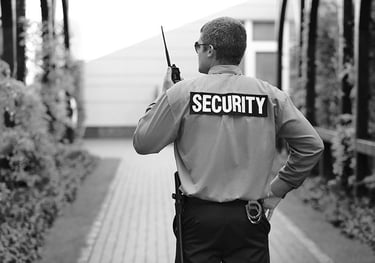 Servizio security a Como