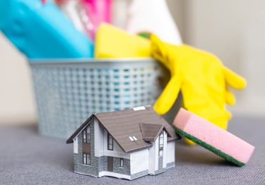a house with a houseplant and cleaning supplies ready to perform pre tenancy cleaning