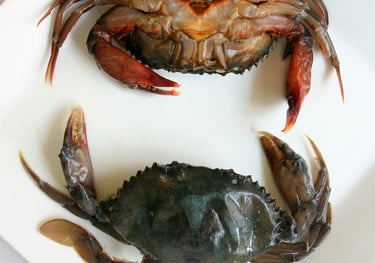 soft-shell crabs
