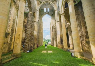 Vue de la nef de l'abbaye de Hambye