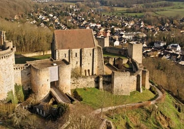 image aérienne du château de la madeleine à chevreuse