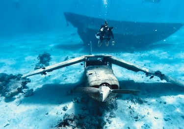A scuba diver enjoying with a plane wreck