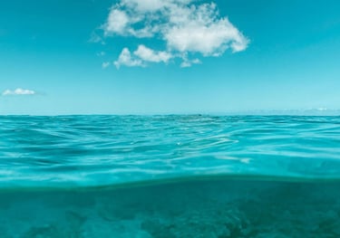 A view of a turquoise ocean under a blue sky. The water is calm, revealing the underwater terrain.