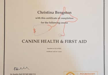 A certificate from Animal Love awarded to Christina Bengston