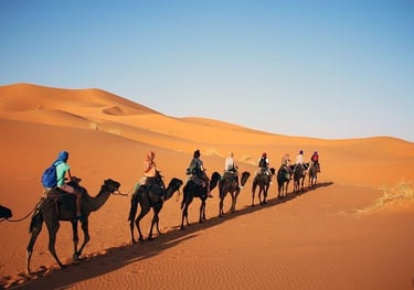 Group of people walking camel in desert, following each other.