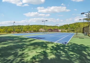 Achasta Pickleball