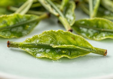 Detailed shot of vibrant, fresh organic green tea leaves on a clean Light Seafoam surface. Soft, natural lighting highlights the textures and rich greens.