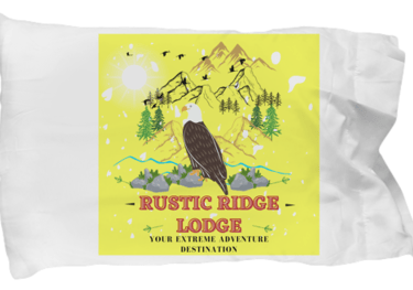 a pillow with a picture of a bald eagle