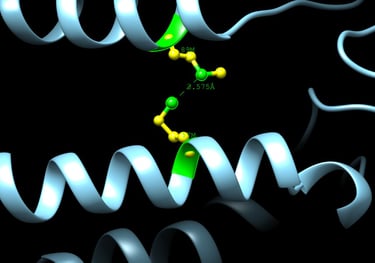 Análisis in silico de proteína predicha por AlphaFold por el Dr. Pablo A. Méndez
