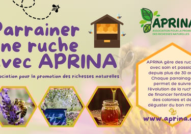 un don pour parrainer une ruche
