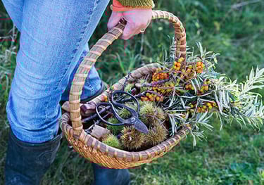 Basket of wild herbs and flowers — symbol of cyclical wisdom, healing partnership, and feminine freq