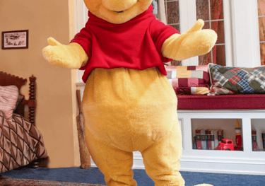 Conoce a tus Winnie the Pooh en Inglaterra