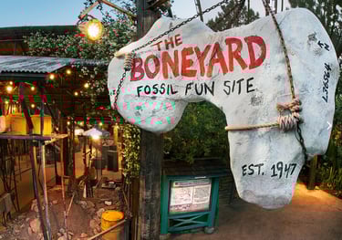 The Boneyard
