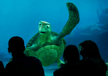 Turtle Talk With Crush