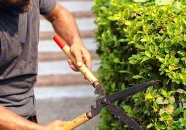 lawn mowing services mackay