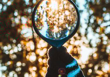 una lente di ingrandimento che ingrandisce chioma di albero