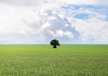 gestione dei rifiuti