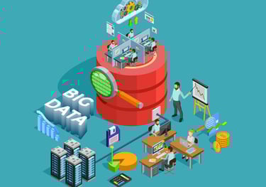 customizable data management