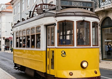 Tour em Lisboa: Belém, Alfama, Castelo, Elevador, fado, gastronomia e Bairro Alto..