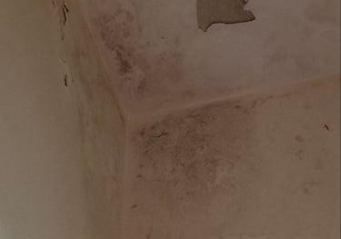 wall dampness repair water leakage detection services in Bangalore 