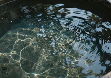 Artistic shot of clear water rippling in a smooth dark stone basin. Reflections of light and shadows create a calm, fluid texture, representing the 'Water' element.