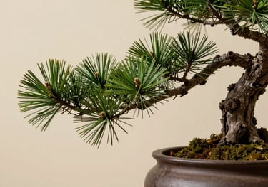 Close-up of a vibrant green ancient pine branch in a contemporary clay pot against a warm ivory background. Strong shadows, zen-like composition, representing the 'Wood' element.