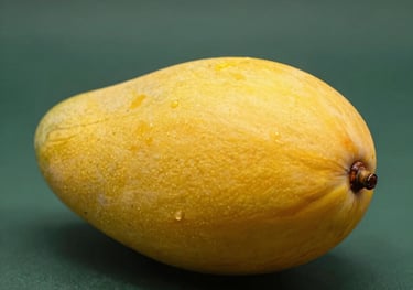 A studio photography shot of a single, vibrant yellow Sindhri mango with a perfect oval shape. The fruit rests on a dark green textured surface, illuminated by a soft, premium spotlight that highlights its smooth skin.