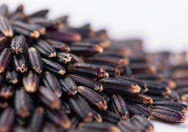Macro shot of deep purple-black Riceberry grains on a clean surface, high contrast, professional food photography highlighting nutritional texture.