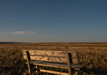 Photography of a solitary wooden bench overlooking a wide North American meadow at dusk, deep slate blue sky with faint golden light.