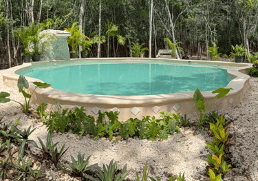 A swimming pool with a stone waterfall, surrounded by tropical garden plants and lush green trees.